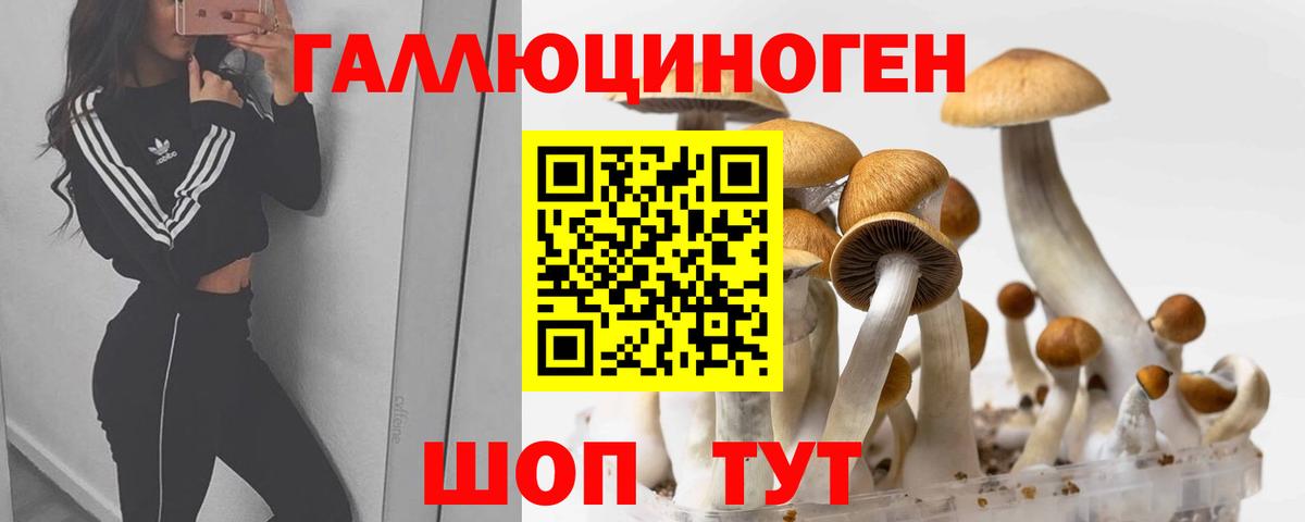 Псилоцибиновые грибы ЛСД  Галлюциногенные грибы GOLDEN TEACHER  Видное  Вход с VPN 