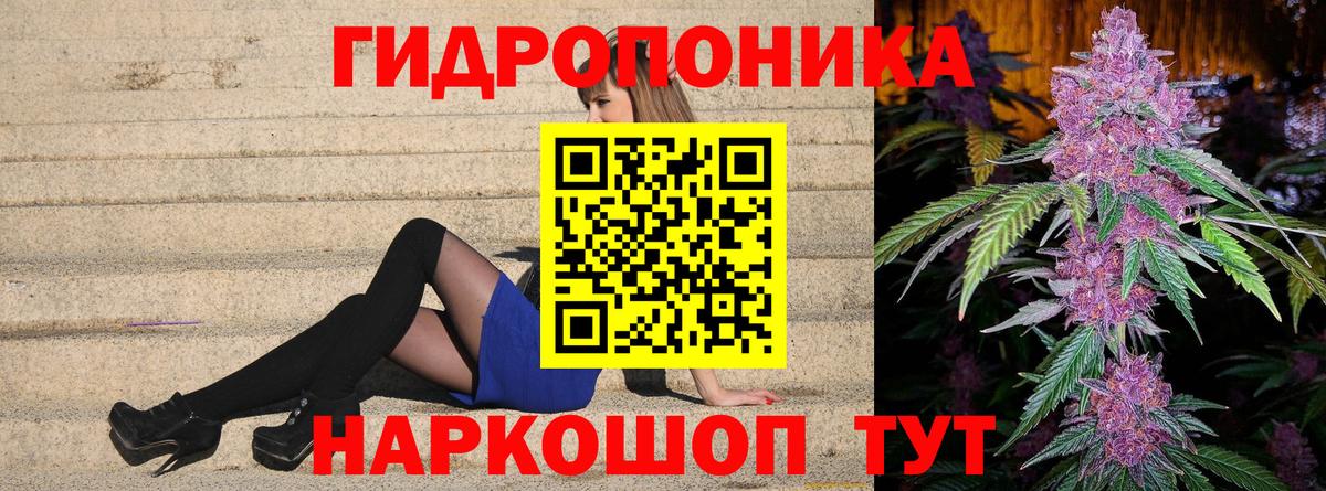 Конопля конопля  Канабис White Widow  Марихуана конопля  Вход с VPN  Видное 